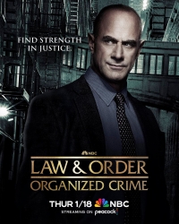 Закон и порядок: организованная преступность